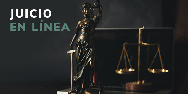 tribunal-guerrero-modulo-juicio-linea
