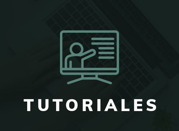 tribunal-guerrero-modulo-tutoriales1